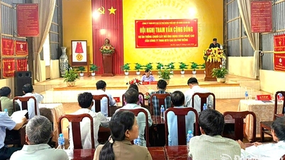 استشارة المجتمع - زراعة الأنسجة الموز باستخدام التكنولوجيا العالية