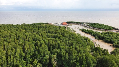 Pelan pengurusan dan perlindungan alam sekitar untuk Rizab Biosfera Dunia Mui Ca Mau, tempoh 2026 - 2030