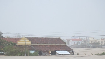 A nemzetközi közösség közel 16 millió dollárral segíti Vietnamot a természeti katasztrófák következményeinek leküzdésében.