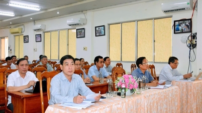 지역, 병동 및 특별 구역 보건소 조직에 관한 Circular 43/2025/TT-BYT 구현을 위한 온라인 컨퍼런스
