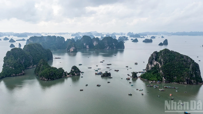 Die treibende Kraft hinter dem starken Anstieg der Zahl australischer Touristen in Vietnam erklären