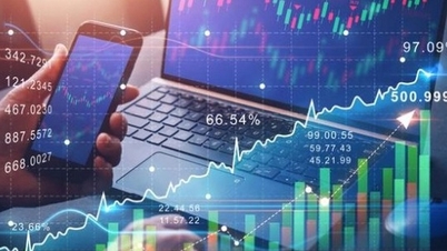 Механізм фінансового управління В'єтнамською фондовою біржею, В'єтнамською депозитарно-кліринговою корпорацією з цінних паперів