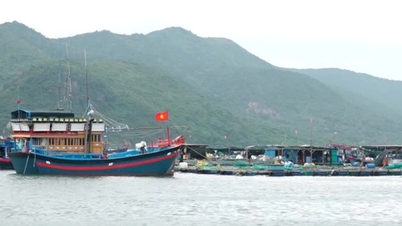 खान होआ ने 28 नवम्बर को सुबह 7 बजे से अगली सूचना तक समुद्र में प्रवेश पर प्रतिबंध लगा दिया है।