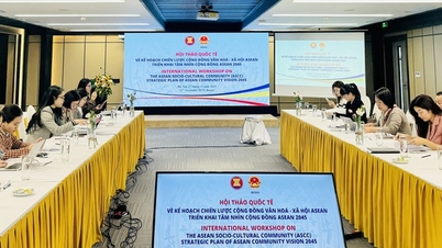 एक स्थायी आसियान सामाजिक-सांस्कृतिक समुदाय की ओर