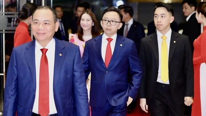 Τι «εκτίμησε» η Vingroup όταν ίδρυσε την VinMetal και δανείζει με 0% κεφάλαιο στην Pomina;