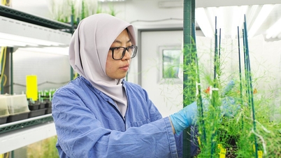 Обмен решениями в области продовольственной безопасности на Неделе науки и технологий VinFuture