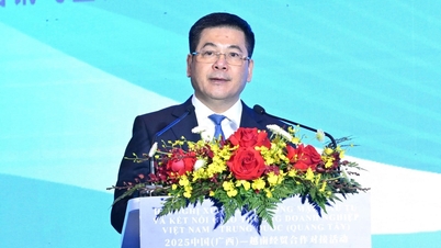 Vietnam ve Çin Arasında Ticaret Geliştirme, Yatırım ve İş Bağlantısı Konferansı (Guangxi)