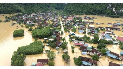 국제사회는 베트남이 폭풍과 홍수로 인한 피해를 극복하도록 약 1,600만 달러를 지원했습니다.