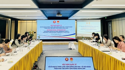 Taller internacional sobre el Plan Estratégico de la Comunidad Sociocultural de la ASEAN