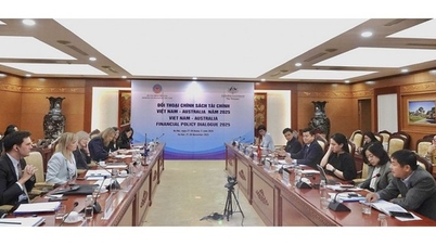 Vietnam - Australia accelerate cooperation to attract investment capital