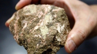 수세기 동안 이어져 온 "산업용 비타민"에 대한 오해의 진실