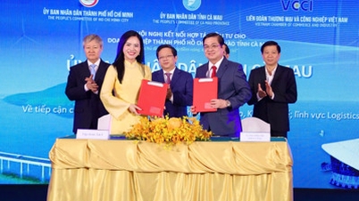 Grup T&T bekerja sama dengan Ca Mau, meneliti serangkaian proyek bernilai miliaran dolar di wilayah paling selatan negara tersebut