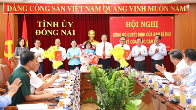 ຄະນະ​ເລຂາ​ໄດ້​ແຕ່ງ​ຕັ້ງ​ຄະນະ​ປະຈຳ​ພັກ​ແຂວງ ດົ່ງ​ນາຍ ຕື່ມ​ອີກ 3 ທ່ານ.