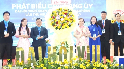 لیکچررز اور ملازمین کو اعتماد کے ساتھ تعاون کرنے کی ترغیب دیں۔