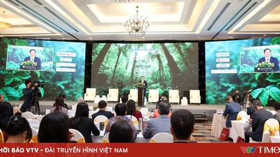 Grønn vekst: Dybde er viktigere enn hastighet