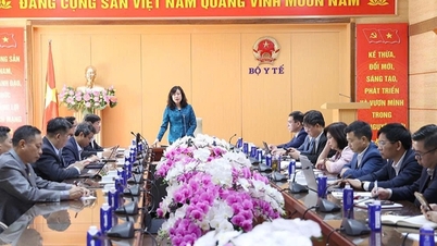 ຂໍ້​ລິ​ເລີ່ມ​ຂອງ​ທ້ອງ​ຖິ່ນ​ໃນ​ການ​ປະ​ຕິ​ບັດ​ໜ້າ​ທີ່, ວຽກ​ງານ, ໂຄງ​ປະ​ກອບ​ການ​ຈັດ​ຕັ້ງ​ຂອງ​ຕາ​ແສງ, ຫວອດ, ແລະ ສະ​ຖາ​ນີ​ສຸ​ຂະ​ພາບ​ເຂດ​ພິ​ເສດ