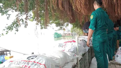 Ho Chi Minh-byen iverksetter raskt tiltak for å håndtere storm nr. 15