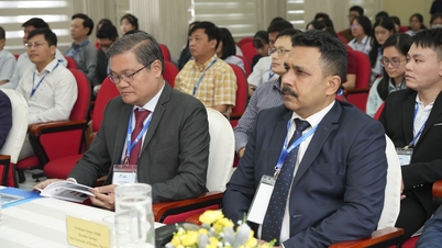 Международные эксперты предупреждают о необходимости срочного регулирования использования ИИ в бизнесе