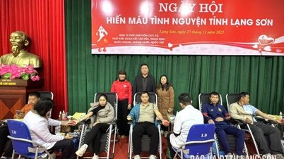 Menerima 311 unit darah pada festival derma darah di wilayah Lang Son pada 2025