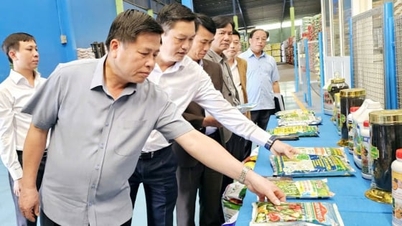 فو تو در حال تحقیق برای عملی کردن کشاورزی ارگانیک و چرخشی است