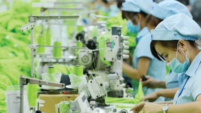 La transformation verte est une condition de croissance