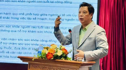 Ouderen in Hanoi en Ho Chi Minhstad hebben last van overgewicht, obesitas en chronische ziekten.