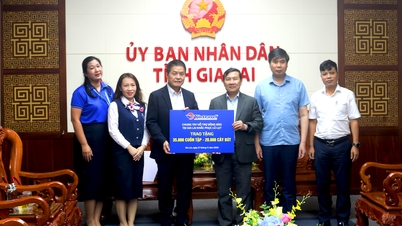 Η Ανώνυμη Εταιρεία Τουρισμού Vietravel παρέχει υποστήριξη στον εκπαιδευτικό τομέα της επαρχίας Gia Lai