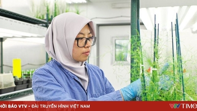 Para saintis terkemuka dunia menawarkan rancangan untuk memberi makan kepada 10 bilion orang pada Minggu Sains dan Teknologi VinFuture 2025
