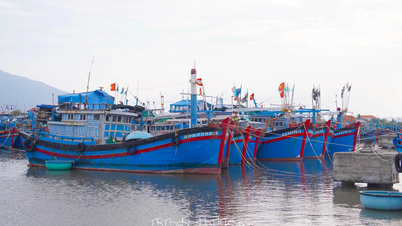 Hingga pukul 3:00 sore tanggal 27 November, ada 3.365 perahu nelayan dan perahu yang berlabuh untuk berlindung dari badai No. 15.