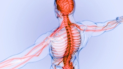 Kronisk smärta: Varför kvarstår smärtan och blir den svårare att stoppa?