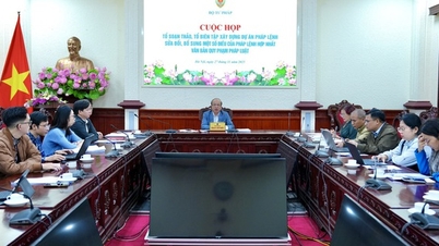 Mängel bei der Dokumentenkonsolidierung sorgfältig prüfen und gründlich beheben.