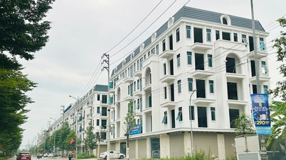 Bắc Ninh tăng cường giám sát, công khai, minh bạch trong phát triển nhà ở xã hội và thị trường bất động sản