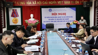 재편 후 지역 및 구 공무원을 위한 보험 교육