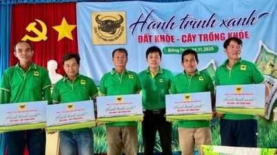 Улучшение здоровья почвы: здоровые растения, сильный урожай зимой и весной