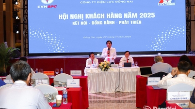 Компанія Dong Nai Electricity забезпечує безпечне та стабільне джерело живлення для понад 1,34 мільйона клієнтів.