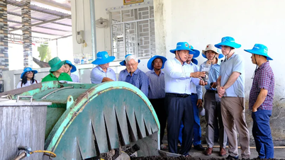 Делегація Світового банку відвідала модель виробництва рису з низьким рівнем викидів та рибальський порт Цай Кхе