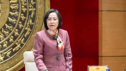 Ulusal Meclis Başkan Yardımcısı Nguyen Thi Thanh, Ulusal Meclis Daimi Komitesi Yurtseverlik Öykünme Kongresi Düzenleme Komitesi toplantısına başkanlık etti.