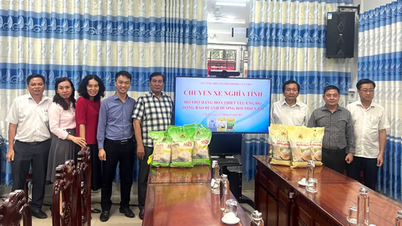 کین تھو سٹی انڈسٹری اینڈ ٹریڈ ڈیپارٹمنٹ نے طوفان اور سیلاب سے متاثرہ لوگوں کی مدد کے لیے 7 ٹن چاول متحرک کیا۔