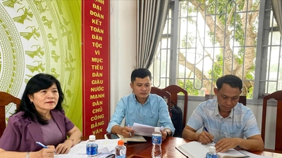 Son My überwacht die Beilegung von Streitigkeiten, Beschwerden und Anzeigen.