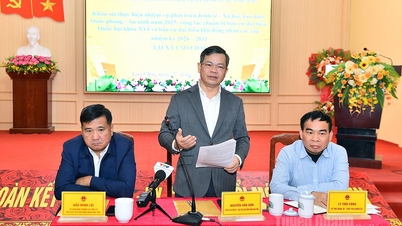 Der Ständige Ausschuss des Provinzvolksrats untersuchte die sozioökonomische Entwicklungssituation in der Gemeinde Lao Chai.