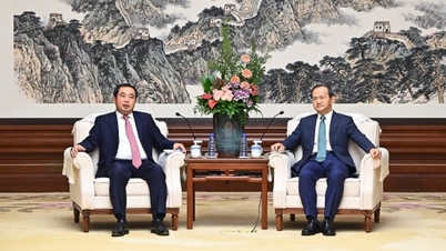 Prefeito de Pequim compartilha experiência na melhoria do meio ambiente.