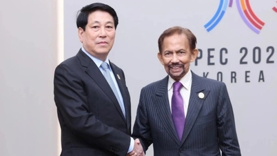 מלך ברוניי עומד לבקר בווייטנאם.