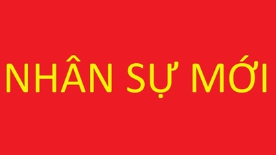 꽝찌, 동탑, 빈롱 3개 성의 신규 인력