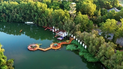 'সবুজ জগতে' নৌকায় করে ভ্রমণ