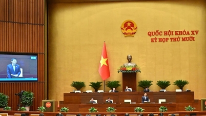 Siaran Akhbar No. 30, Sidang Ke-10, Perhimpunan Negara ke-15