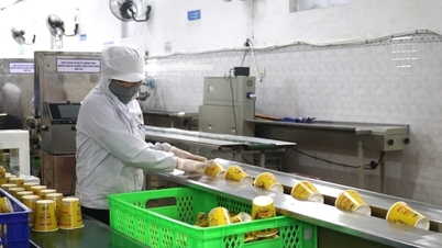 Průmyslová propagace „podporuje“ podniky v dobývání exportních trhů