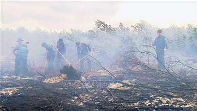Своевременное тушение лесного пожара в коммуне Виньхоанг, провинция Куангчи