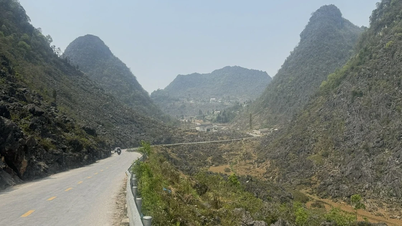 Tuyen Quang regulerer trafikken under bokhveteblomstfestivalen