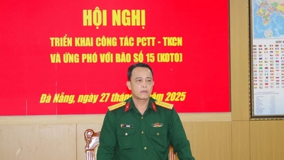 قيادة مدينة دا نانغ العسكرية تنشر أعمال الاستجابة للعاصفة رقم 15