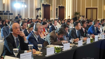 Grønn transformasjon: En «løftekraft» for bærekraftig vekst for Vietnam